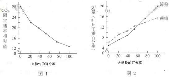 2013年北京高考理综生物试题解析