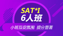 VIP SAT*I 6人班