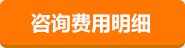 咨询费用明细