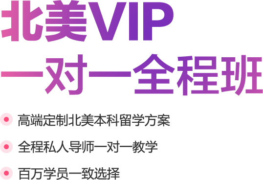 北美vip一对一全程班